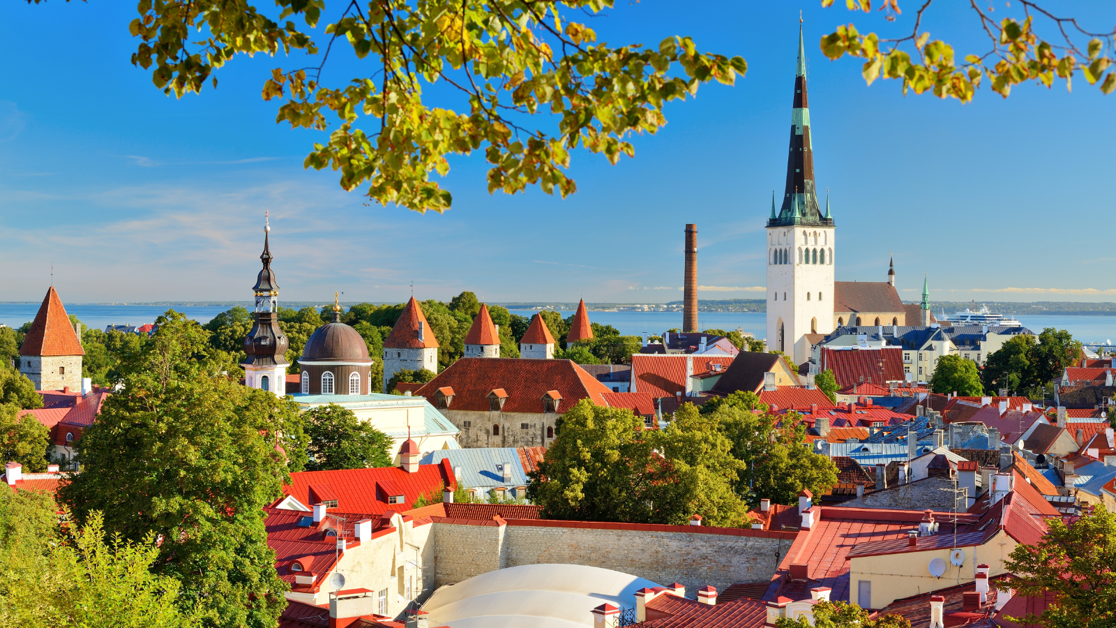 Anticipating democratic challenges in Central and Eastern Europe