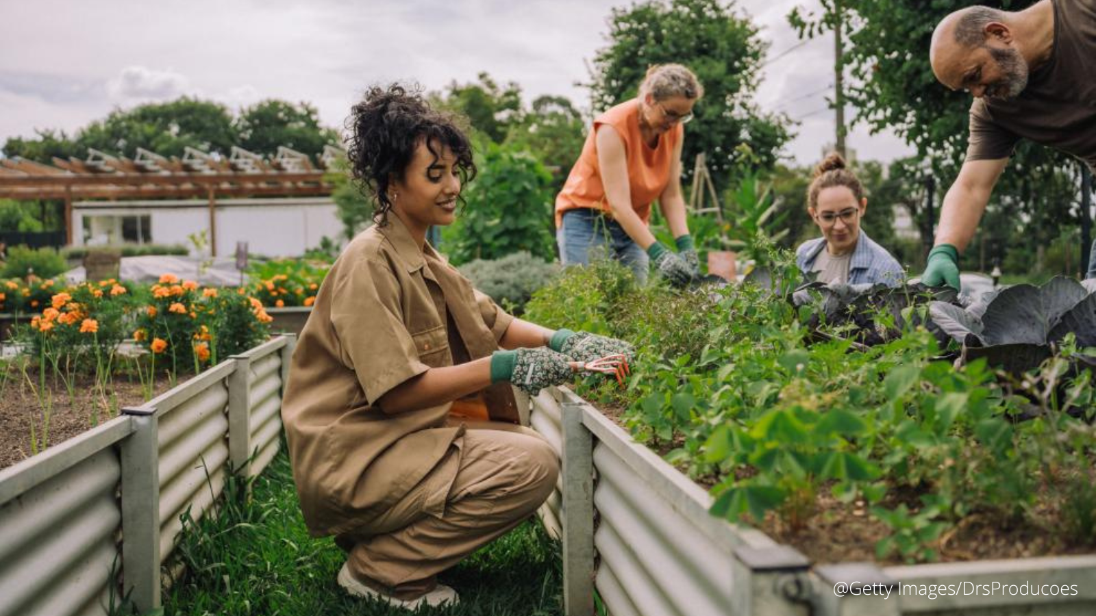 « Sans pollinisateurs, notre chaîne alimentaire s’effondre »